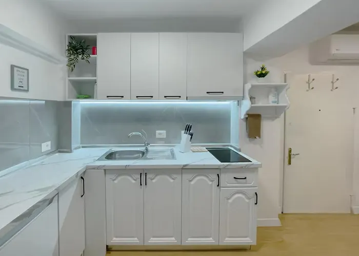 Cozy In Center * Tirana